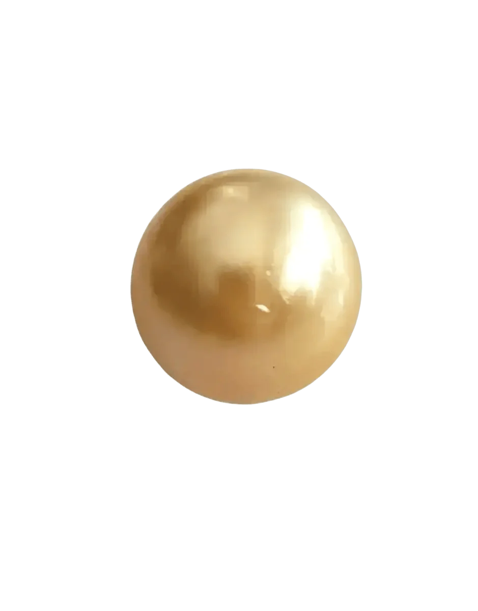 GSSSP009 - 13 - 14mm Single Golden South Sea Pearl - Marina Korneev