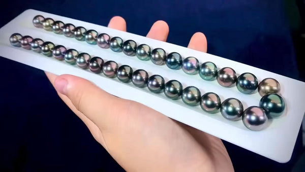 Dark Tahitian pearls of graduated sizes on display, highlighting marine pearls attributes.