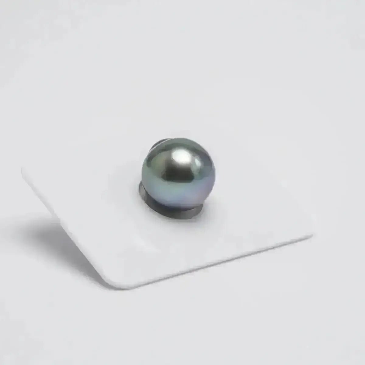 TSP002 - 13 - 14mm Single Tahitian Pearl - Marina Korneev