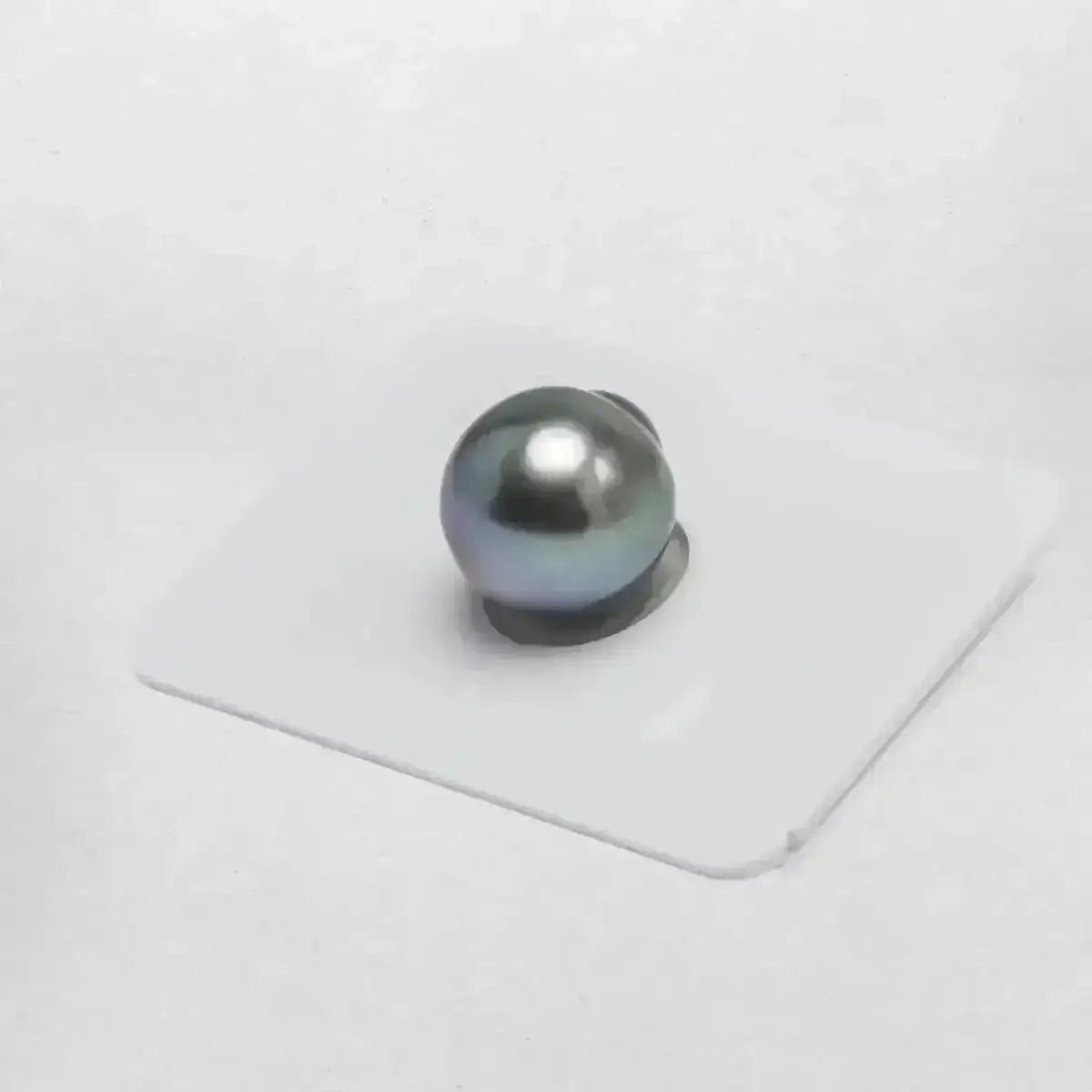 TSP002 - 13 - 14mm Single Tahitian Pearl - Marina Korneev