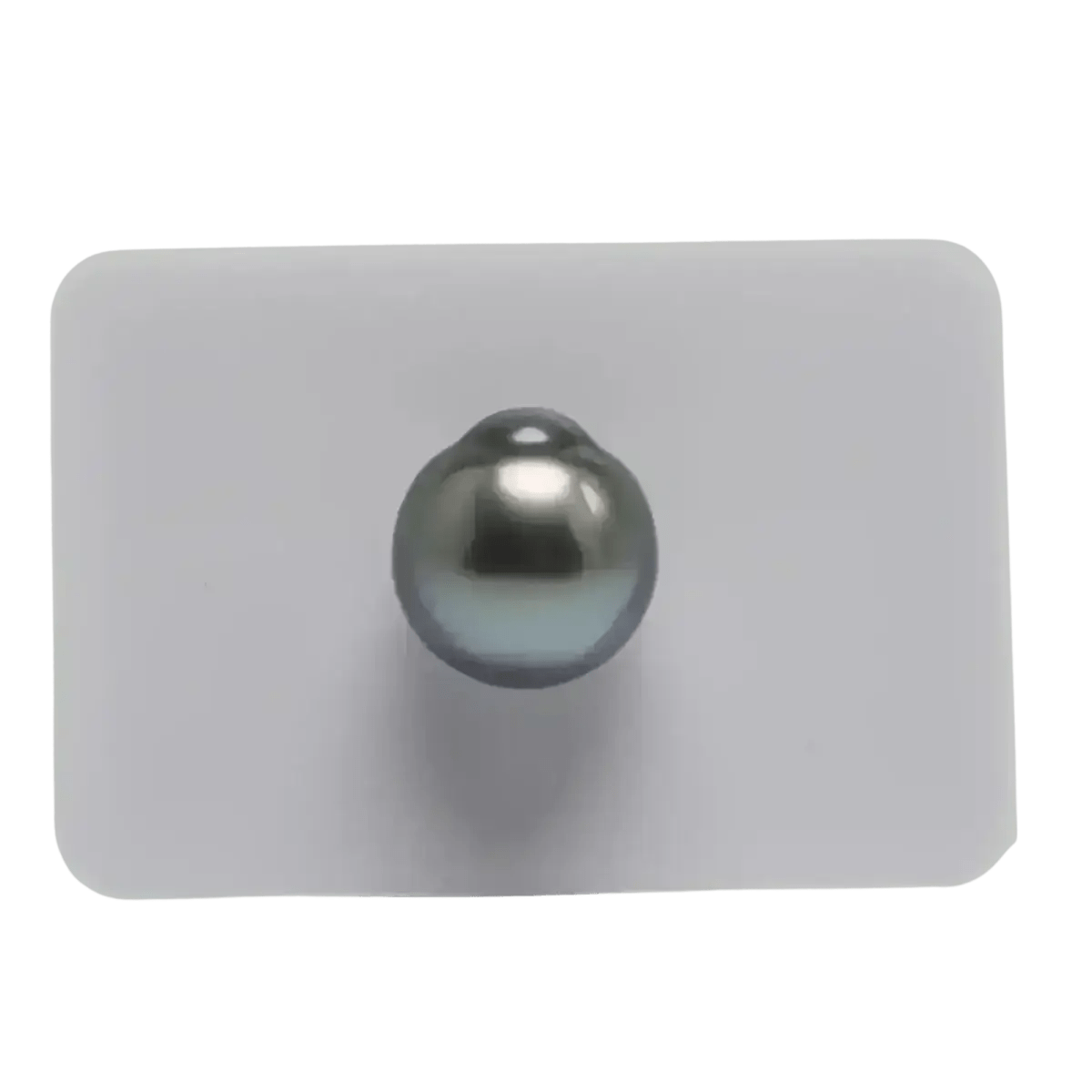 TSP002 - 13 - 14mm Single Tahitian Pearl - Marina Korneev