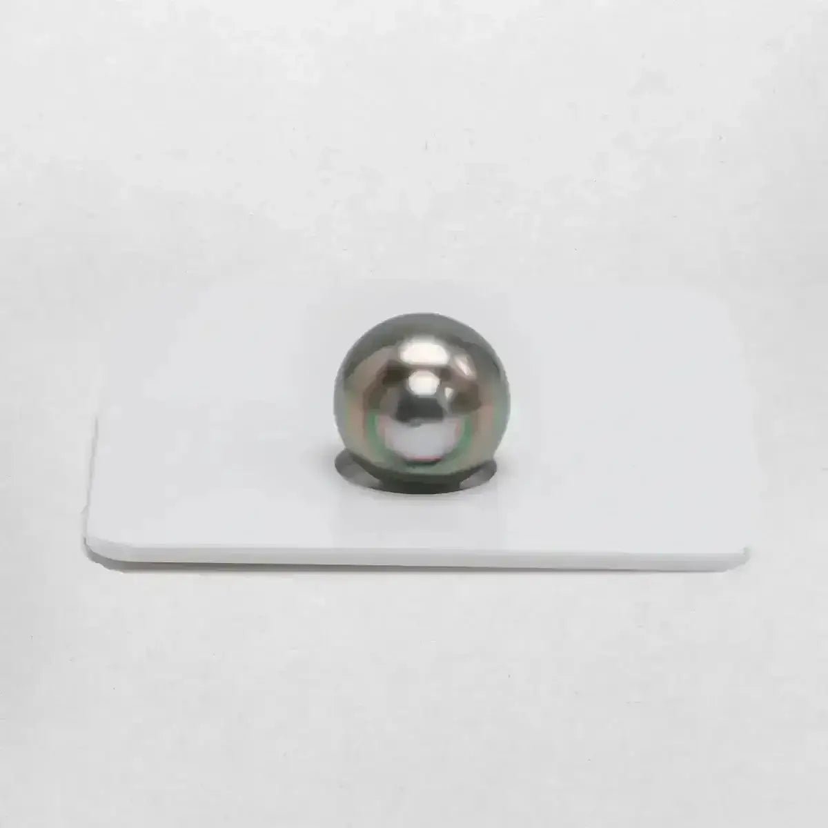 TSP002 - 13 - 14mm Single Tahitian Pearl - Marina Korneev