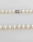 White South Sea Pearl Necklace 14K Gold Marina Pearls