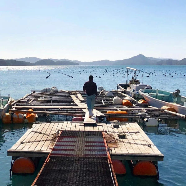 Wooden dock with orange buoys enhances pearl cultivation in marine pearls exploration.