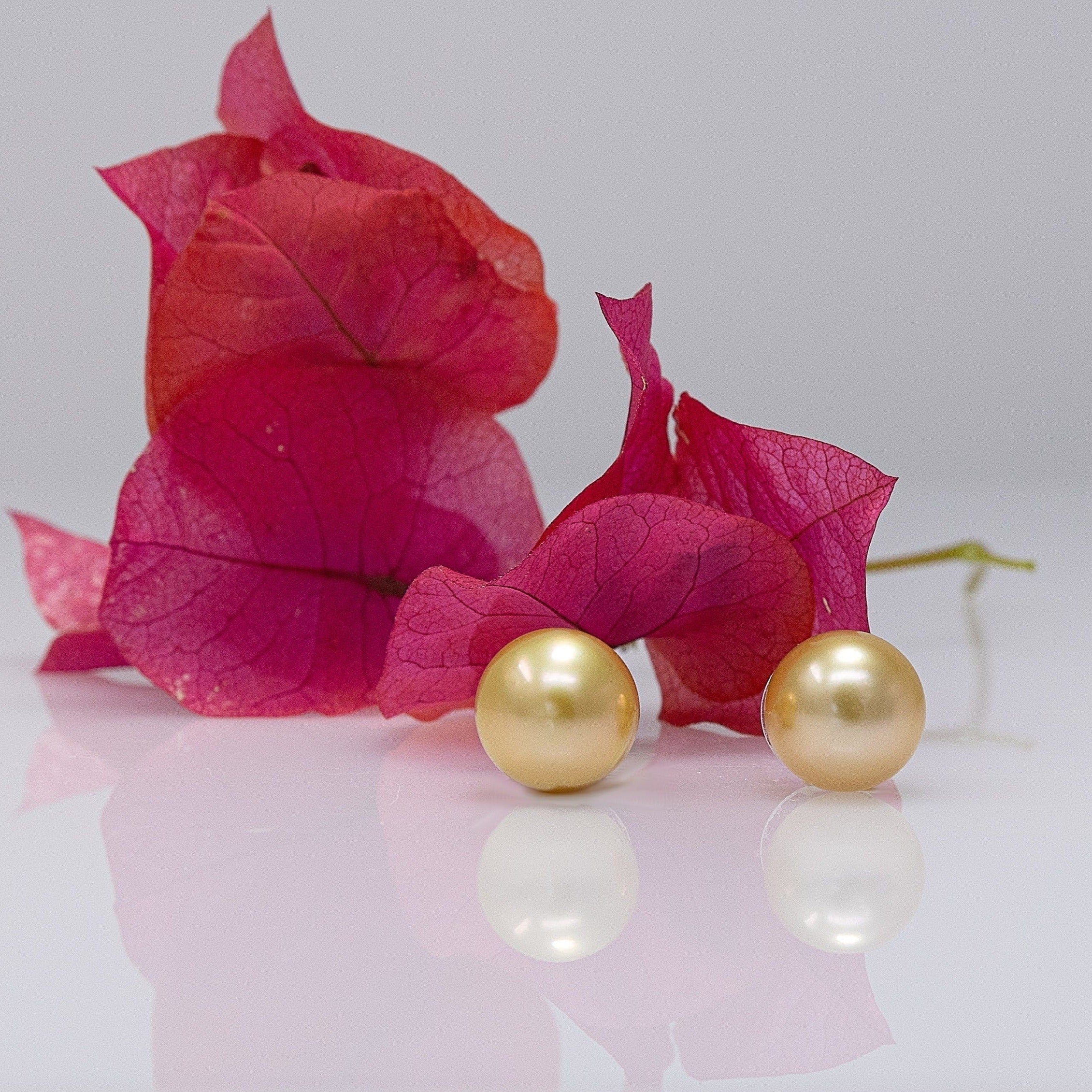 11-12mm Golden South Sea Pearl Stud Earrings - Marina Korneev Fine Pearls