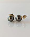 10-11mm Tahitian Pearl Stud Earrings - Marina Korneev Fine Pearls